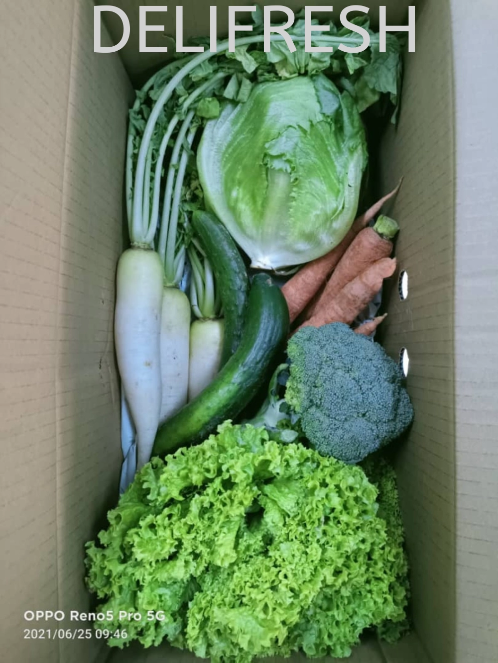 Father's Organic Vegebox Buyer's Choices 3.0 kg & 6 Varieties