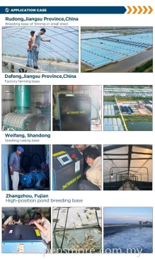 Xinlei Turbo Low Compressor For Fish Farm & Water Treatment