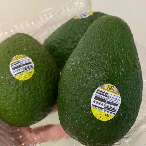 Australia Avocado 1pcs