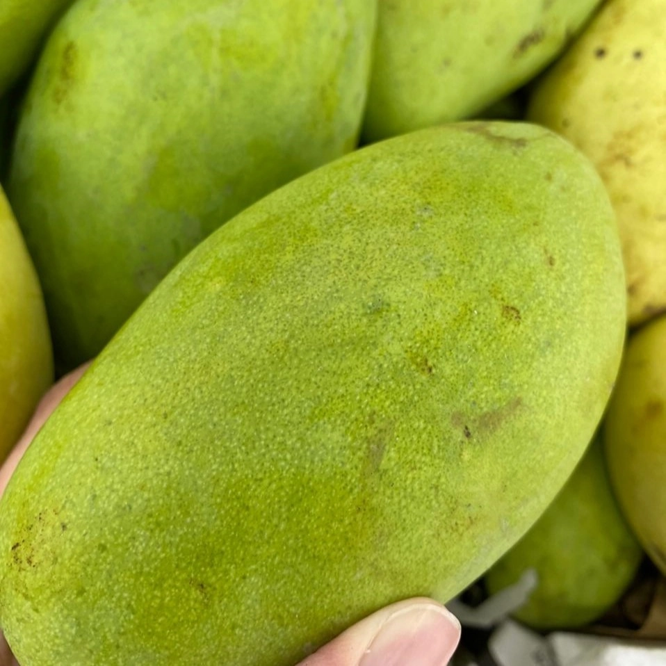 Thailand Susu Mango 1kg