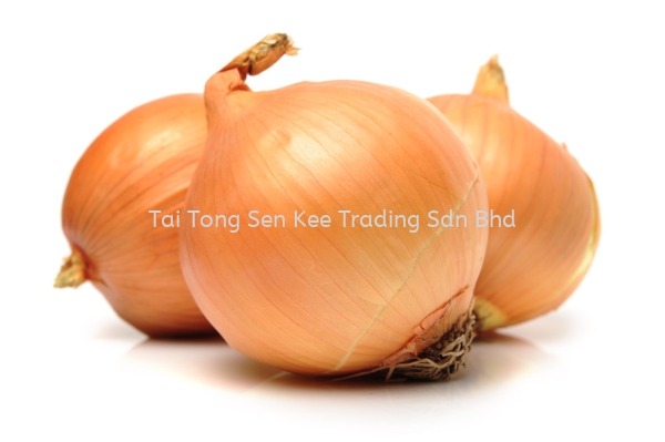 Onion Fresh & Dry Food Johor Bahru (JB), Malaysia, Johor Jaya Supplier, Wholesaler, Supply, Supplies | Tai Tong Sen Kee Trading Sdn Bhd