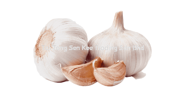 Garlic Fresh & Dry Food Johor Bahru (JB), Malaysia, Johor Jaya Supplier, Wholesaler, Supply, Supplies | Tai Tong Sen Kee Trading Sdn Bhd