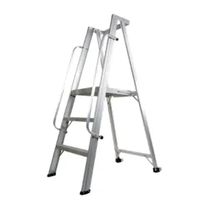  PLATFORM LADDER