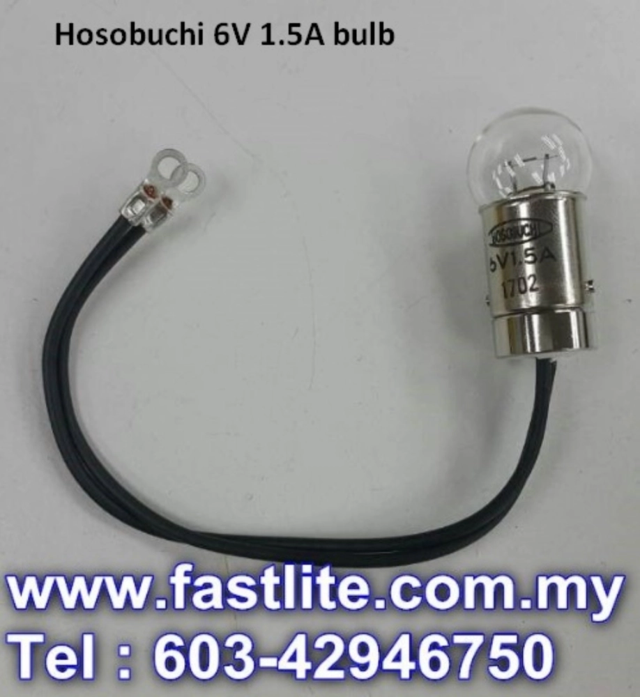 Hosobuchi 6V 1.5A Bulb