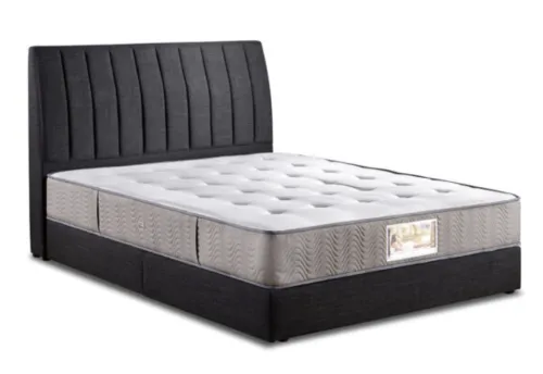 Back Relaxer II Mattresses