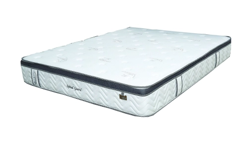 Spinal Guard Mattresses