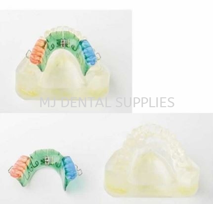 ORTHODONTIC WIRE RETAINER, #M3008/M3009/M3010/M3011 Orthodontic Series Tooth Model Dentistry Material Selangor, Malaysia, Kuala Lumpur (KL), Shah Alam Supplier, Distributor, Supply, Supplies | MJ Dental Supplies