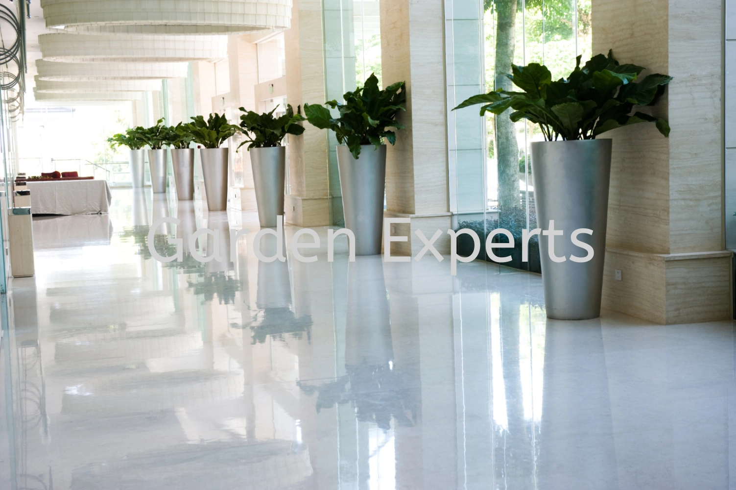 PLANT RENTALS