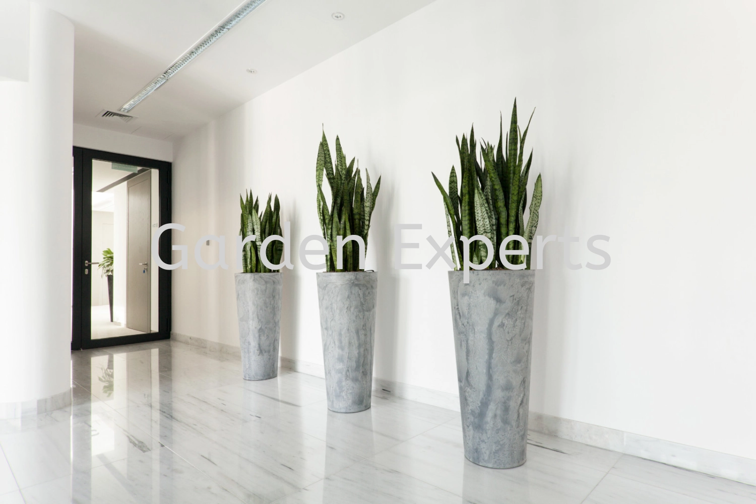 Plant Rental