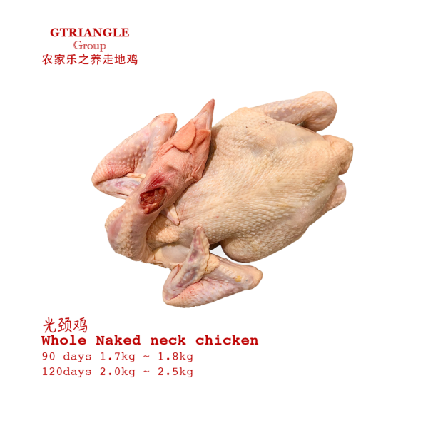 Whole Naked neck chicken 1800g ~ 2000g
