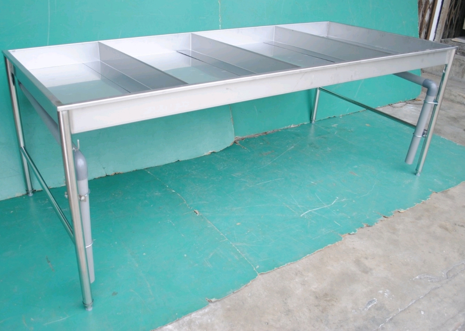 Stainless Steel Fish Display �׸�չʾ����
