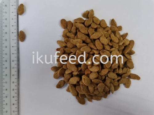 20KG DRY CAT FOOD - FISH