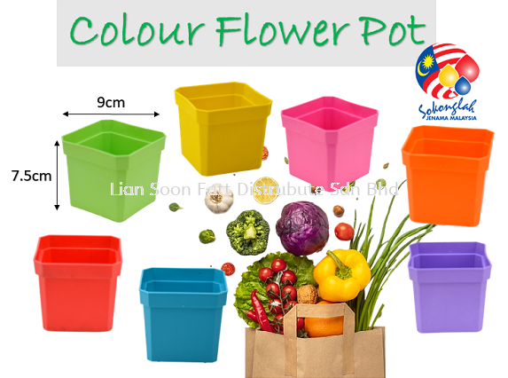 9cm Pasu Pokok Bunga Flower Pot - LSL-100C (Random Colour) Flower Pot & Tray Gardening Perak, Malaysia, Ipoh Supplier, Wholesaler, Distributor, Supplies | LIAN SOON FATT DISTRIBUTE SDN BHD