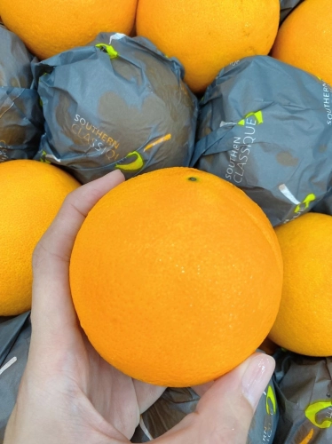 South Africa Orange 5pcs