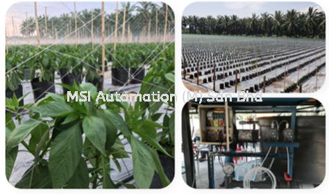  Smart Fertigation System Smart IoT/IIoT  Puchong, Selangor, Kuala Lumpur (KL), Malaysia Supplier, Suppliers, Supplies, Supply | MSI Automation (M) Sdn Bhd