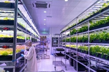  Vertical Farming System Smart IoT/IIoT  Puchong, Selangor, Kuala Lumpur (KL), Malaysia Supplier, Suppliers, Supplies, Supply | MSI Automation (M) Sdn Bhd