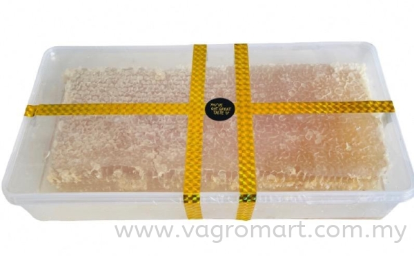 HONEYCOMB 1KG  Honey/ Honeycomb Malaysia, Kuala Lumpur (KL), Selangor, Penang, Kedah, Sarawak Supplier, Suppliers, Supply, Supplies | FERLAB SDN BHD