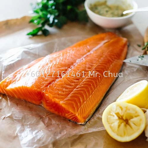 Salmon-Fish-Fillets