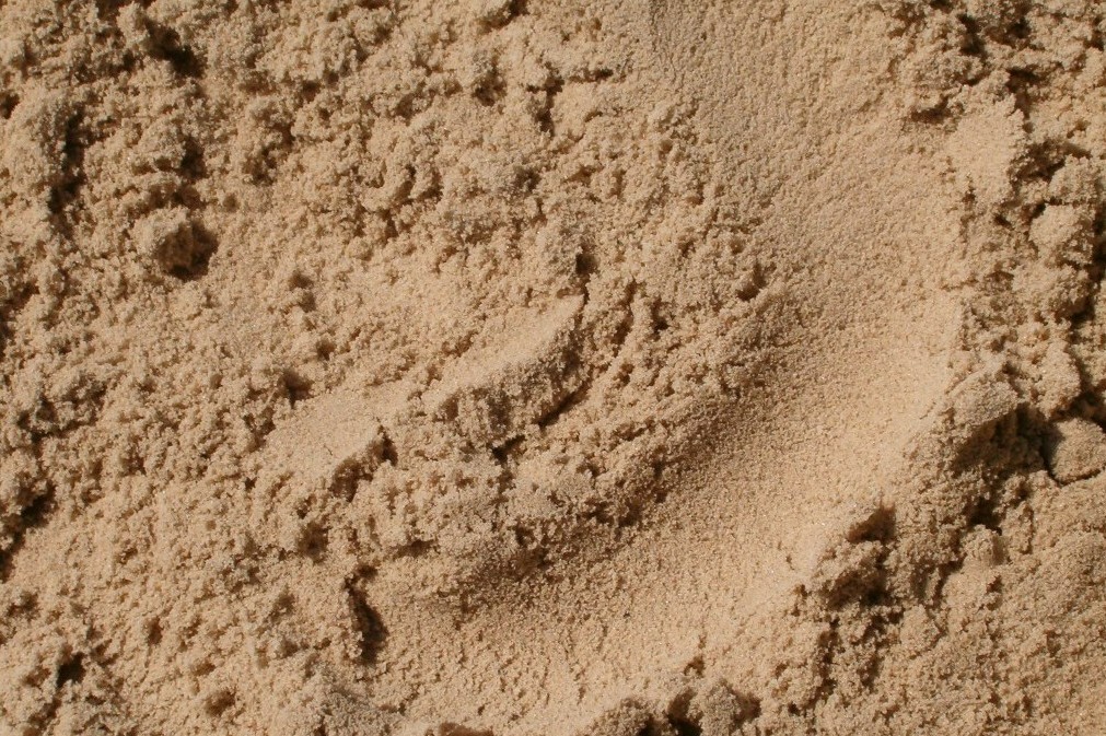 Sand