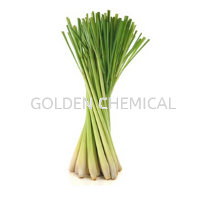 Lemongrass Extract Powder