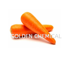 Carrot Powder Powder Vegetable Base Malaysia, Penang Beverage, Powder, Manufacturer, Supplier | Golden Chemical Sdn Bhd