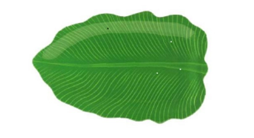 Small Leaf Plate