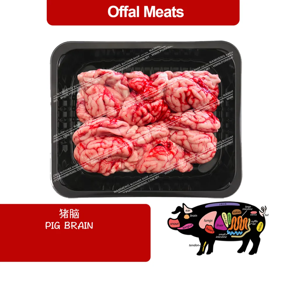 PIG BRAIN 