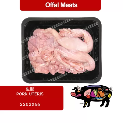 PORK UTERUS 