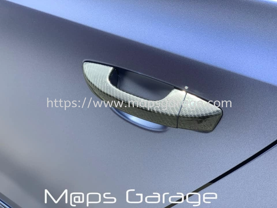 Carbon Door Handle