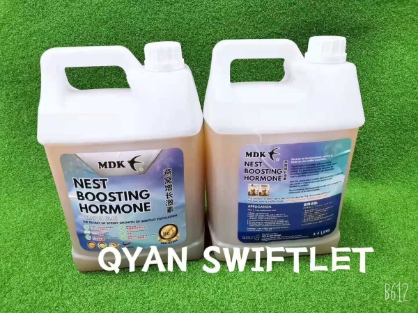 E049 - NBH HORMONE 4 LITER  E-SWIFT HOUSE SUPPLIMENT PRODUCT Malaysia, Selangor, Kuala Lumpur (KL), Kuala Selangor Supplier, Suppliers, Supply, Supplies | QYAN SWIFTLET SDN BHD