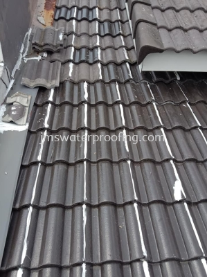 waterproofing for roof leaking