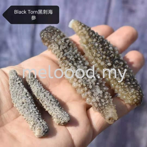 Dried Seafood Dried Black Torn Sea Cucumber