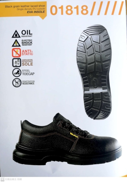 D&D Safety Shoes Safety Shoes Safety Products Johor Bahru (JB), Malaysia, Desa Jaya Supplier, Suppliers, Supply, Supplies | Deltech Engineering Sdn Bhd