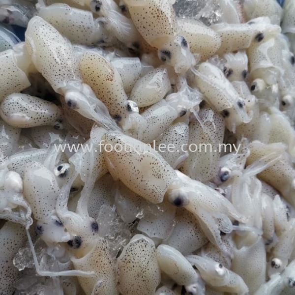 Squid Squid Seafood Malaysia, Selangor, Kuala Lumpur (KL), Sekinchan, Klang Supplier, Suppliers, Supply, Supplies | FOO LIAN LEE FOOD PRODUCT