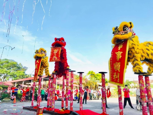 High Pole Lion Dance Performance 