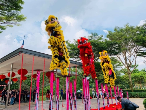 High Pole Lion Dance Performance 