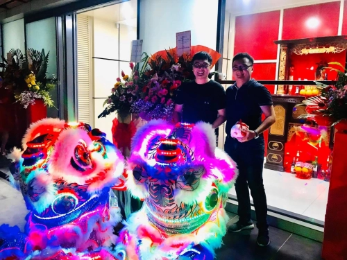 LED Lion Dance - Opening Ceremony