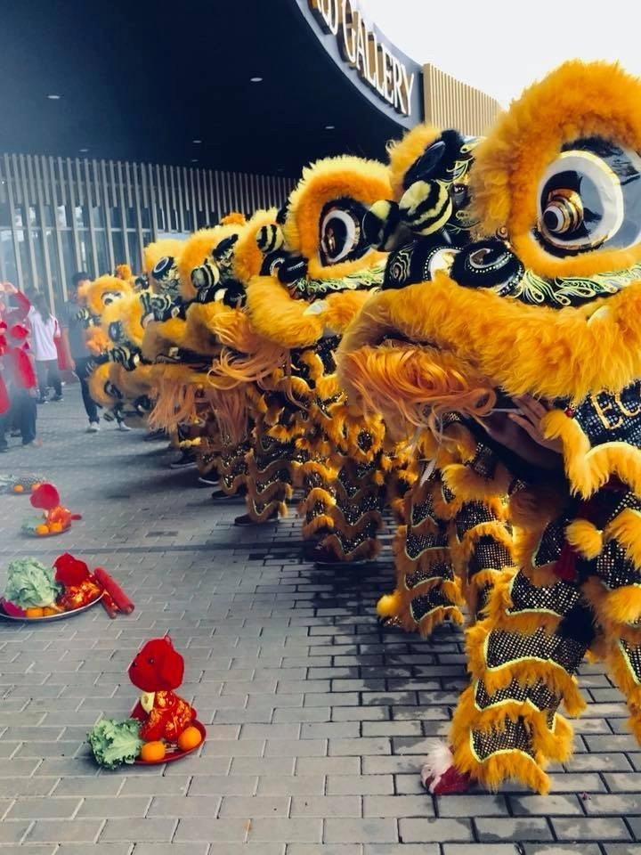 Lion Dance Performance