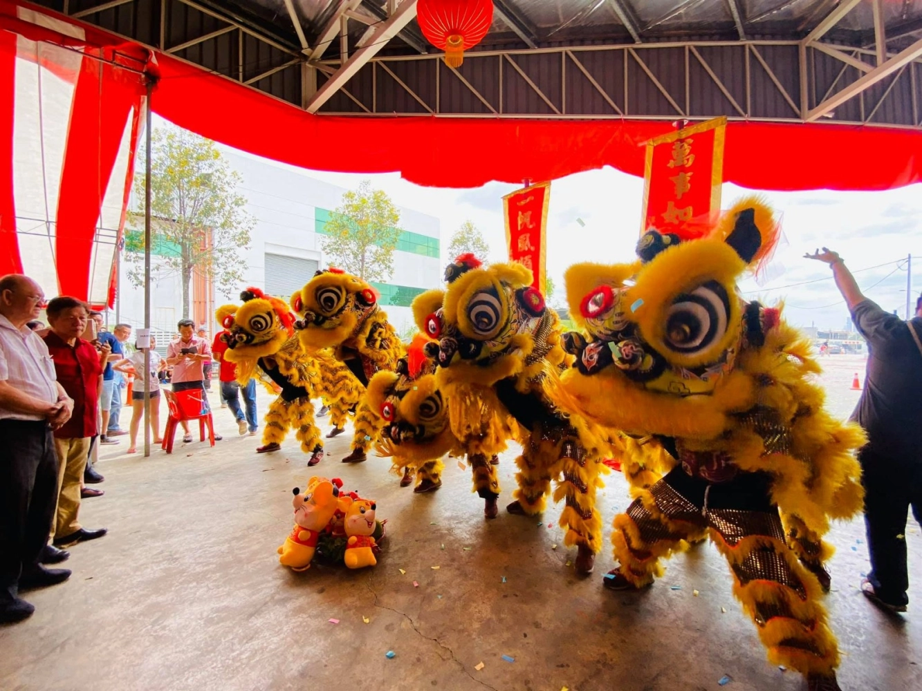 Lion Dance