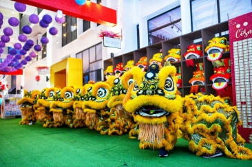 Lion Dance - Roadshow Presentation