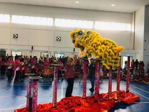 High Pole Lion Dance - Tebby International School