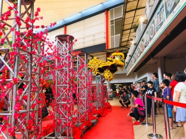 High Poles Lion Dance