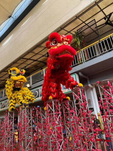 High Poles Lion Dance