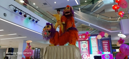 Northern Lion Dance