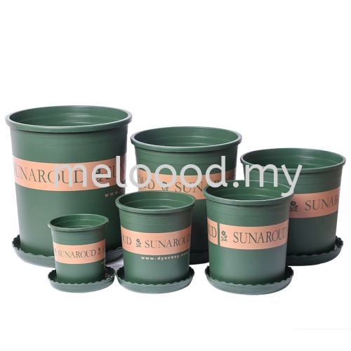 New Brand Gallon Flower POT Genuine Flowerpot Dwarf Pot Root Control Pot Resin Plastic Pot Green Plant Fleshy Rose Pot