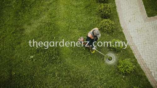 Garden Maintenance