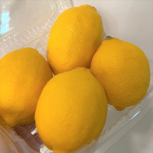 South Africa Lemon 5pcs