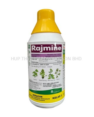 RAJMINE 