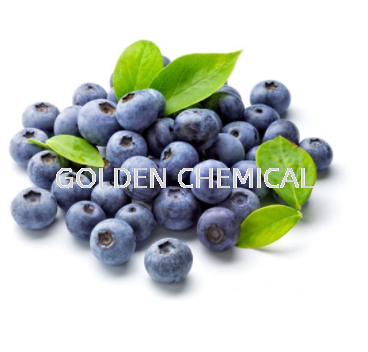 Blueberry Juice Powder Juice Powder Fruity Base Malaysia, Penang Beverage, Powder, Manufacturer, Supplier | Golden Chemical Sdn Bhd