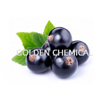 Blackcurrant Juice Powder